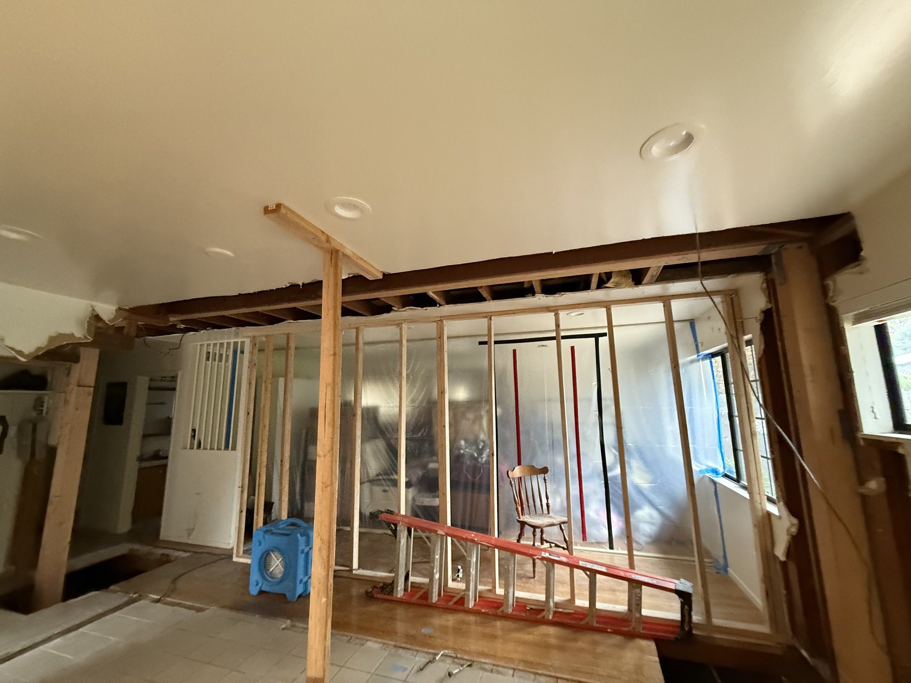 Garage Conversions project